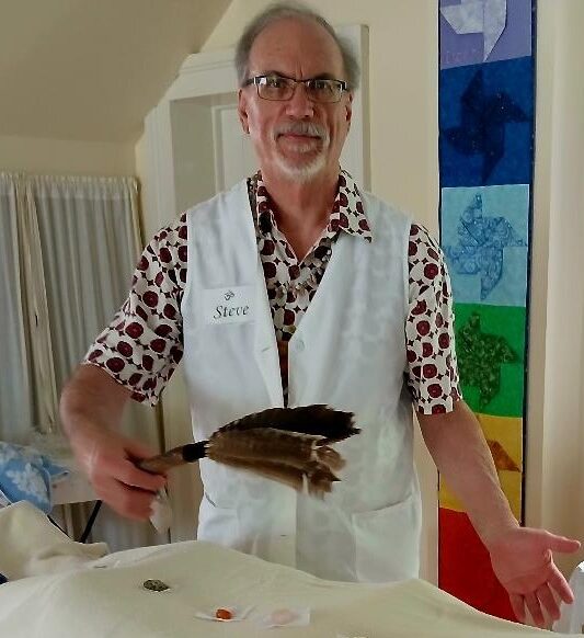 steven williams healing